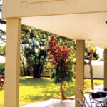 Histórico da Neuroarte em Goiânia