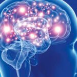 Neuroarte Estímulos